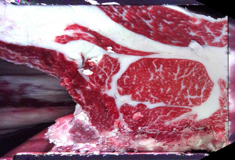 Carcase cross-section for MCKFQ2702
