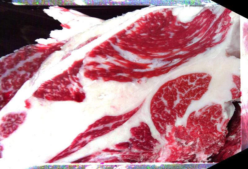 Carcase cross-section for MCKFP2247