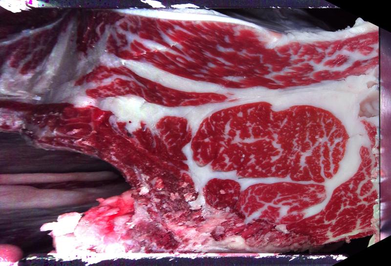 Carcase cross-section for MCKFQ2489