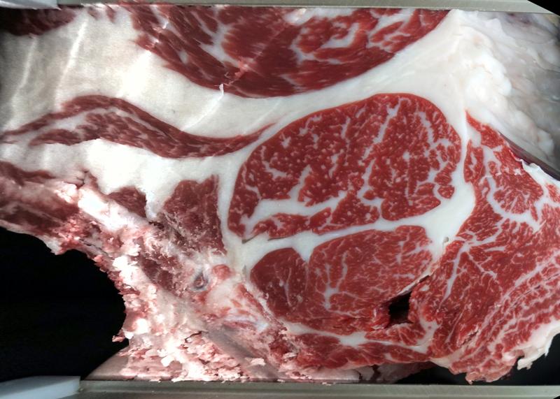 Carcase cross-section for MCKFQ2483