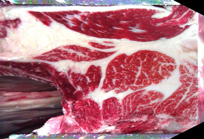 Carcase cross-section for MCKFP2161