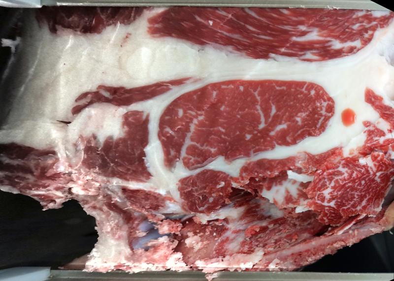 Carcase cross-section for MCKFQ2547