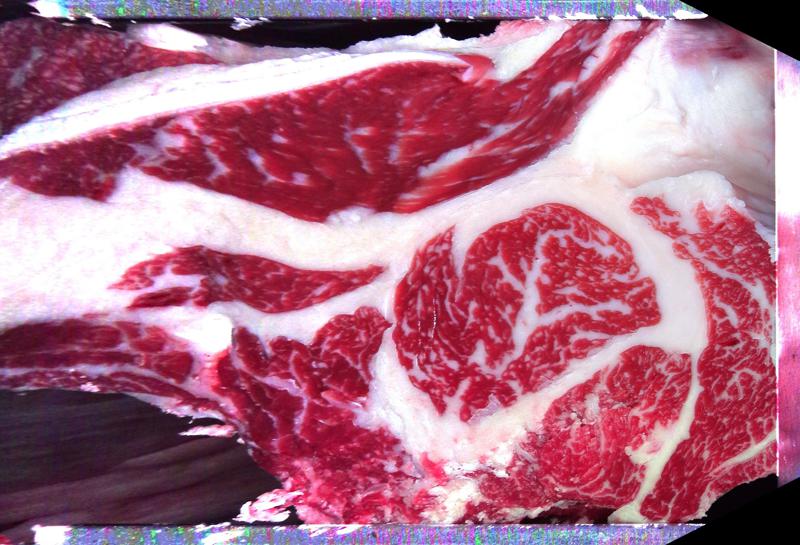 Carcase cross-section for MCKFP2325