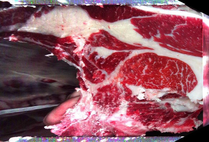 Carcase cross-section for MCKFP2154