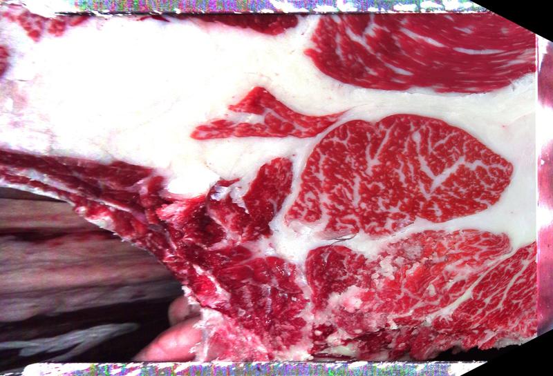 Carcase cross-section for MCKFP2437