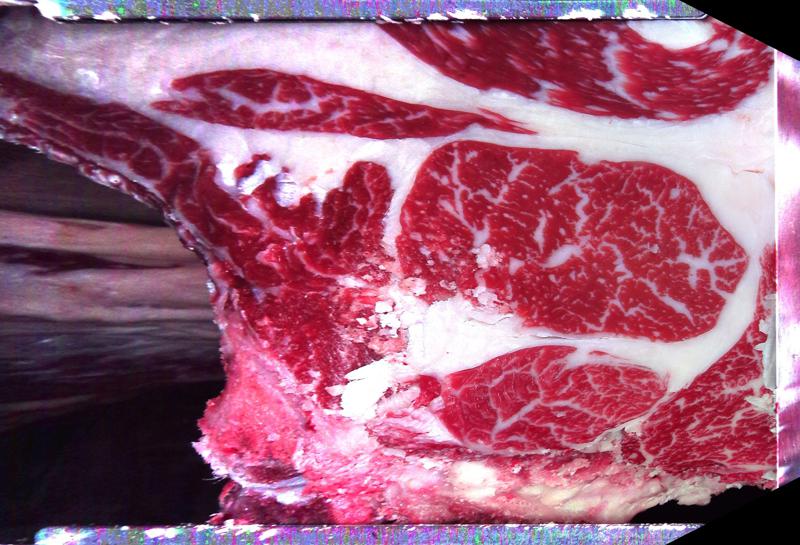 Carcase cross-section for MCKFP2342