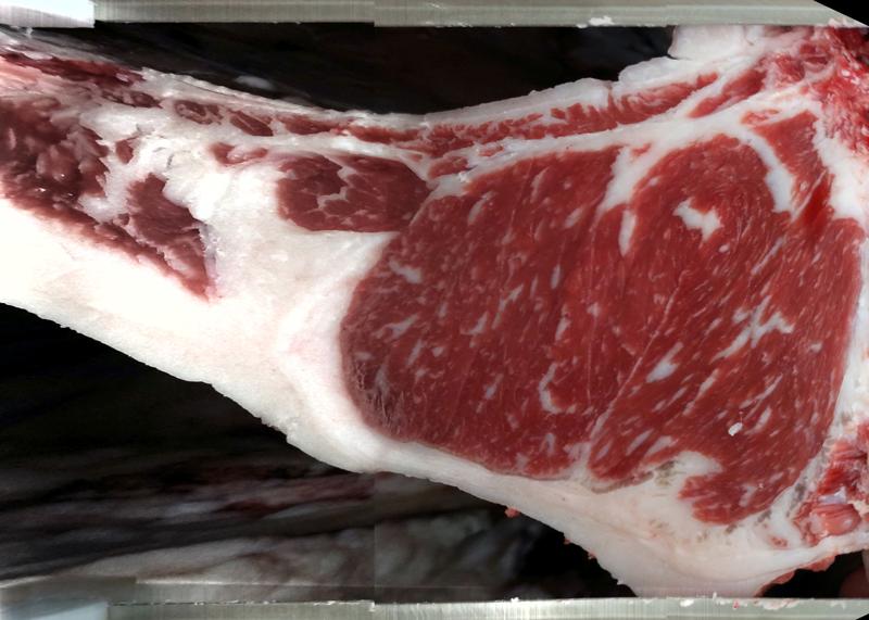 Carcase cross-section for MCKFR3006