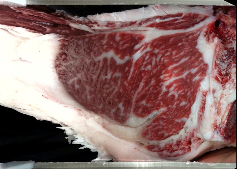 Carcase cross-section for MCKFR2917