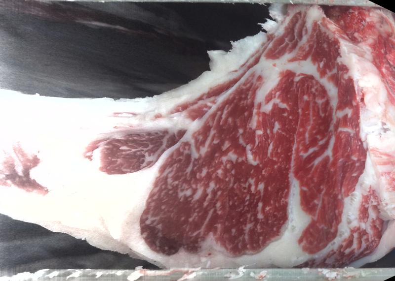 Carcase cross-section for MSMF22T0486