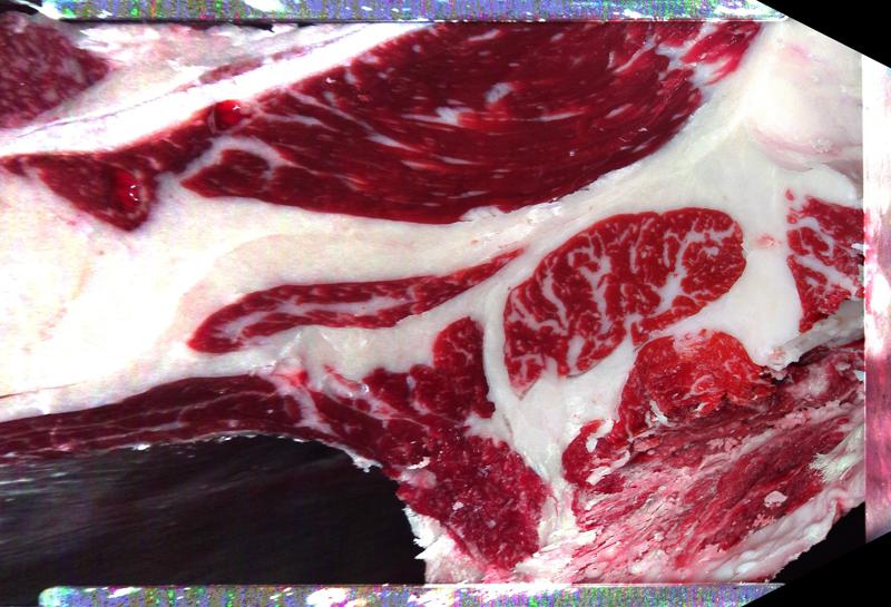 Carcase cross-section for MCKFP2312