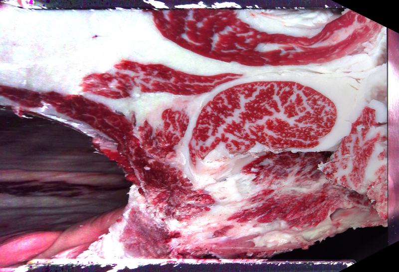 Carcase cross-section for MCKFQ2663