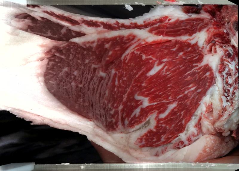 Carcase cross-section for MCKFR3105