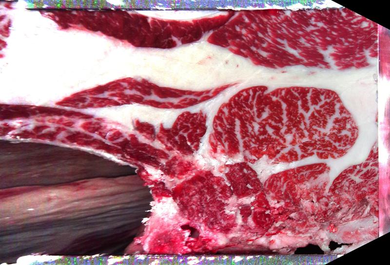 Carcase cross-section for MCKFP2308