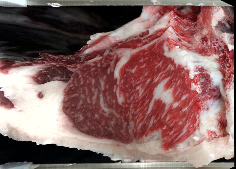 Carcase cross-section for MCKFR2915