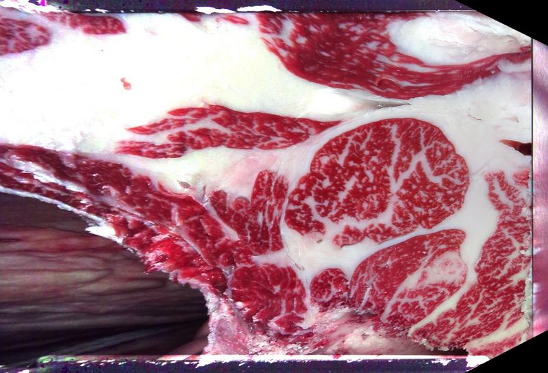 Carcase cross-section for MCKFQ2620