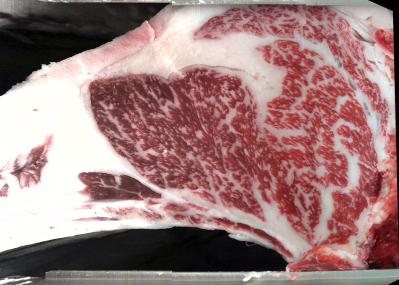 Carcase cross-section for MCKFS3369