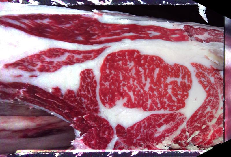 Carcase cross-section for MCKFQ2690