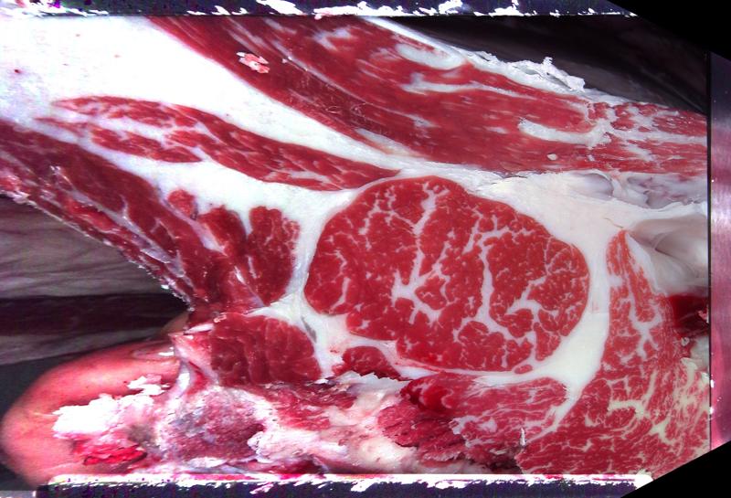 Carcase cross-section for MCKFQ2568