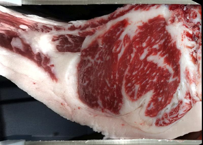 Carcase cross-section for MCKFR3047