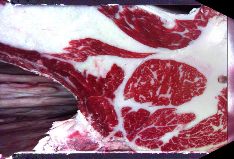 Carcase cross-section for MCKFQ2705