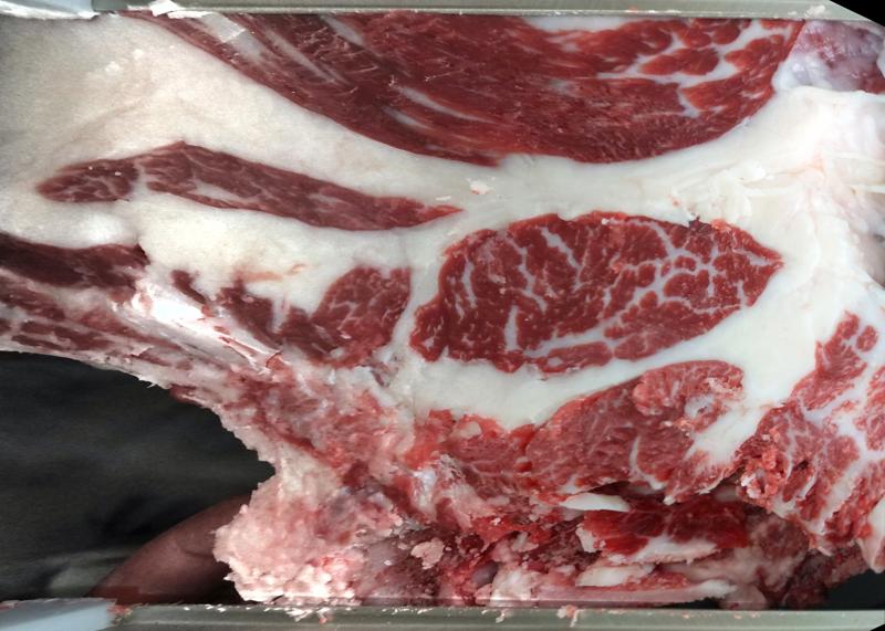 Carcase cross-section for MCKFQ2535