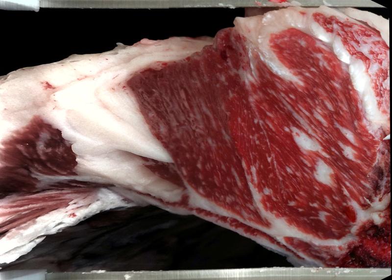 Carcase cross-section for MCKFR2811