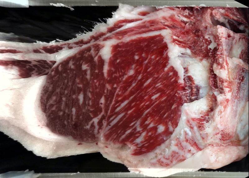 Carcase cross-section for MCKFR2812