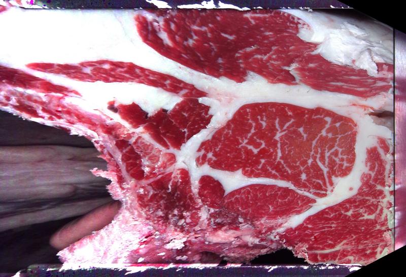 Carcase cross-section for MCKFQ2539
