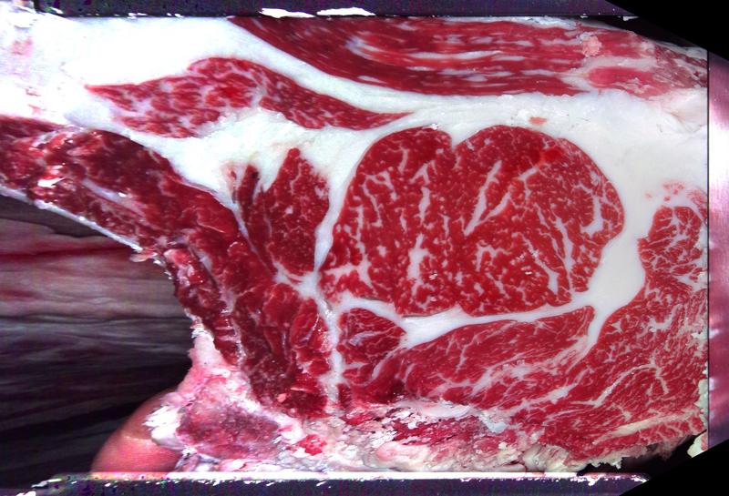 Carcase cross-section for MCKFQ2640