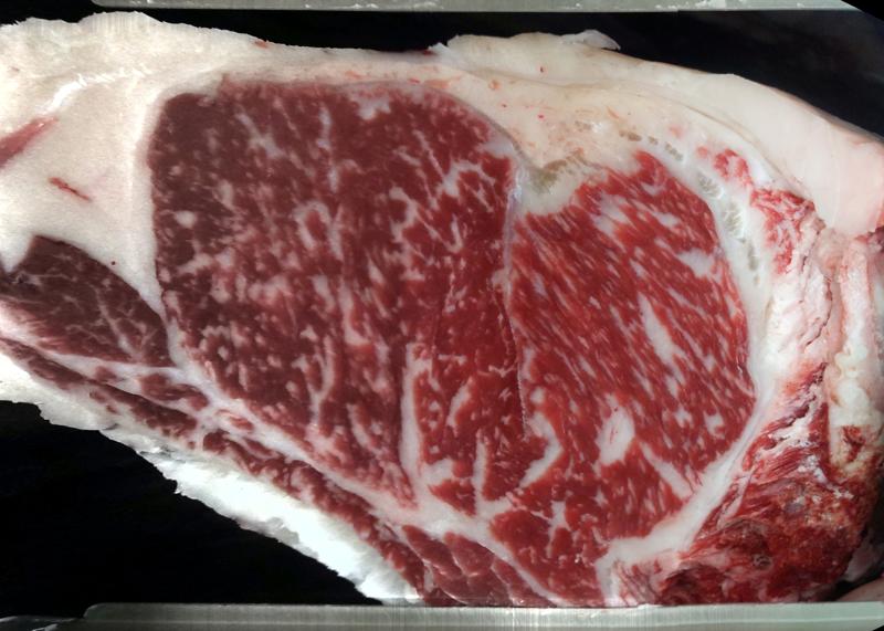 Carcase cross-section for MSMFS0129