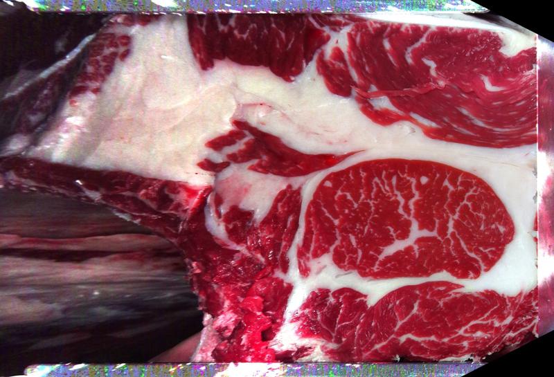 Carcase cross-section for MCKFP2168