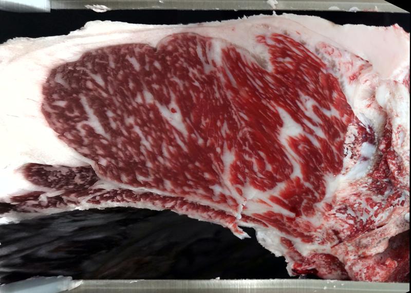 Carcase cross-section for MCKFR2972