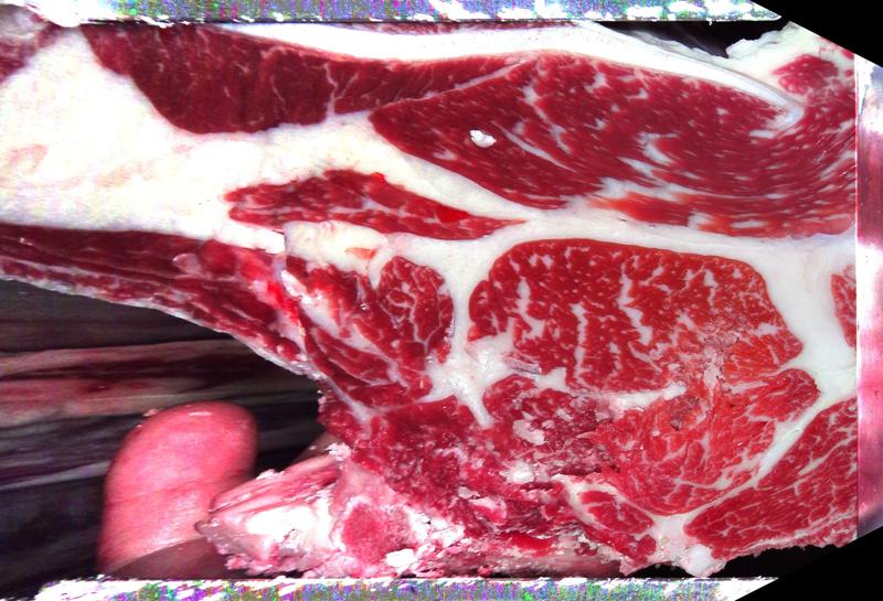 Carcase cross-section for MCKFP2217