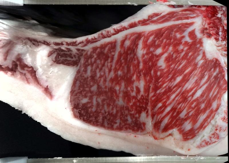 Carcase cross-section for MCKFR3019