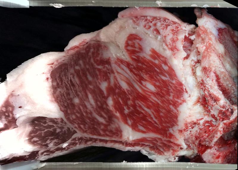 Carcase cross-section for MCKFR2918