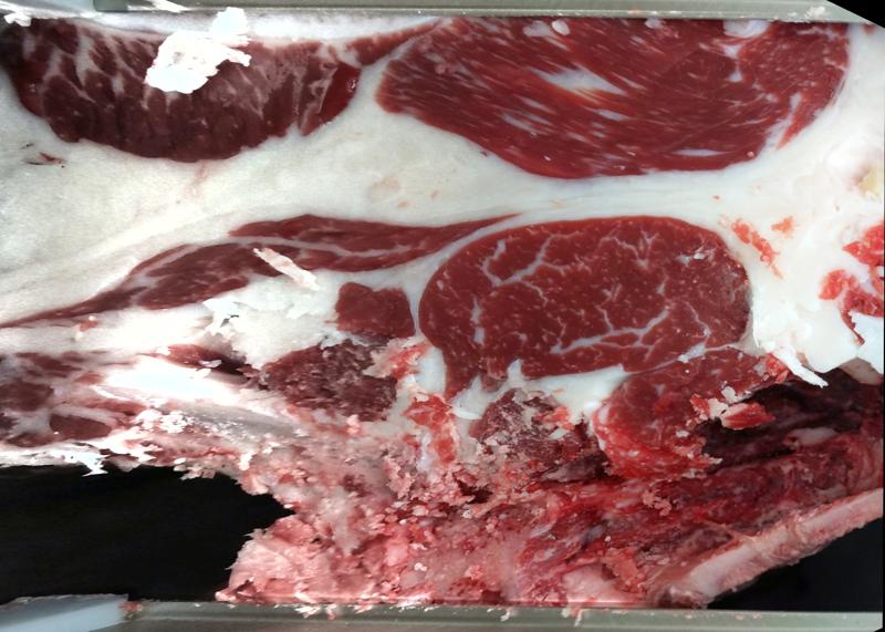 Carcase cross-section for MCKFQ2733