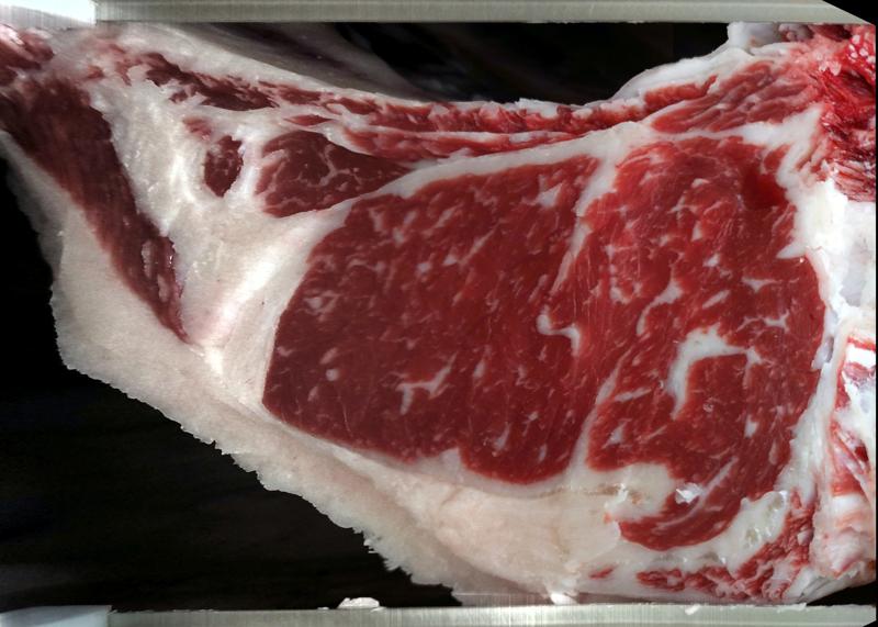 Carcase cross-section for MCKFR2951