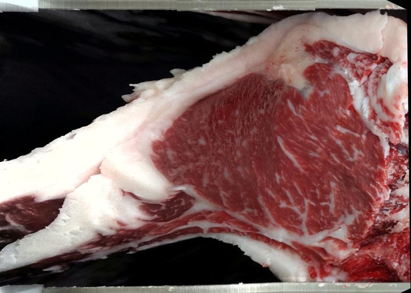 Carcase cross-section for MCKFR3023
