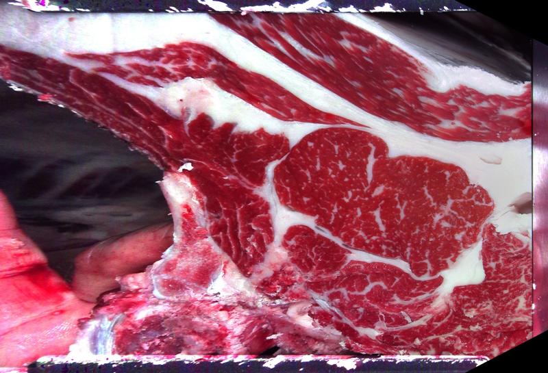 Carcase cross-section for MCKFQ2621