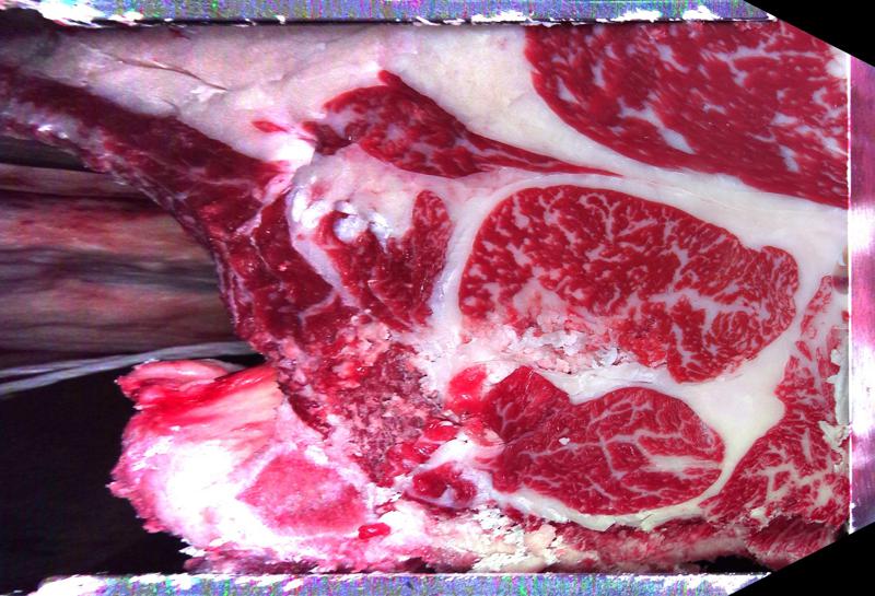Carcase cross-section for MCKFP2363