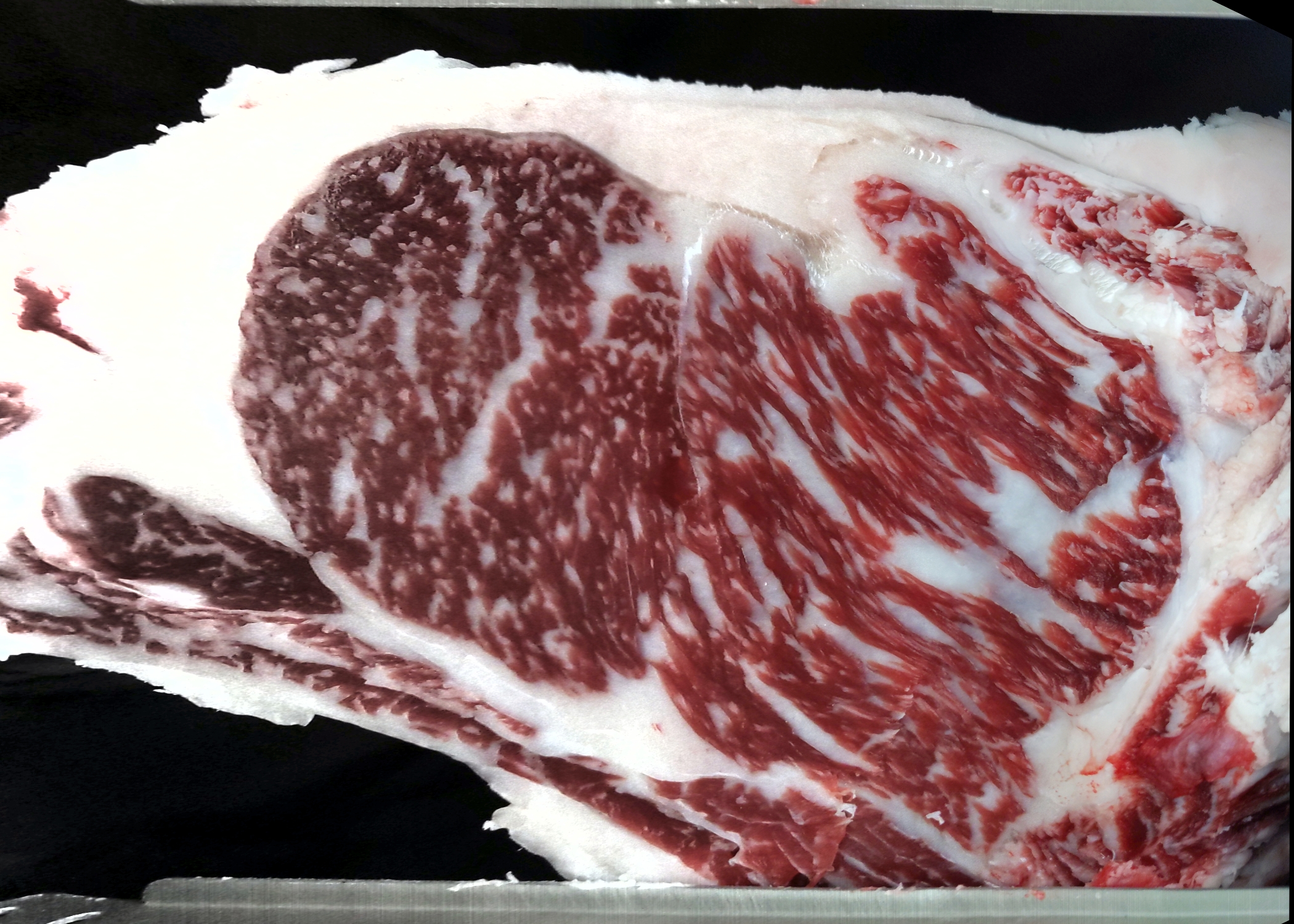 Carcase cross-section for MSMF22T0397