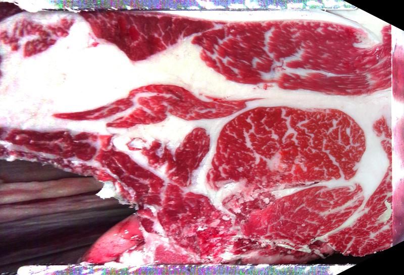 Carcase cross-section for MCKFP2220