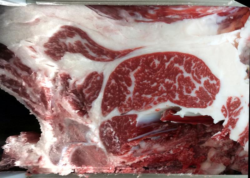 Carcase cross-section for MCKFQ2655