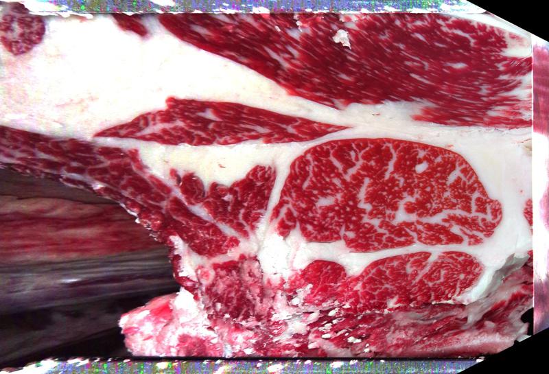 Carcase cross-section for MCKFP2233