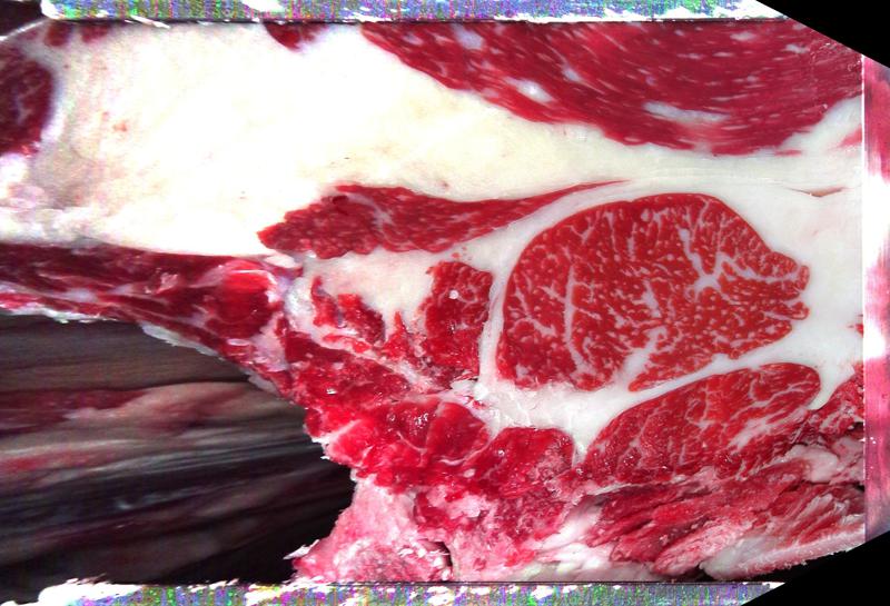 Carcase cross-section for MCKFP2175