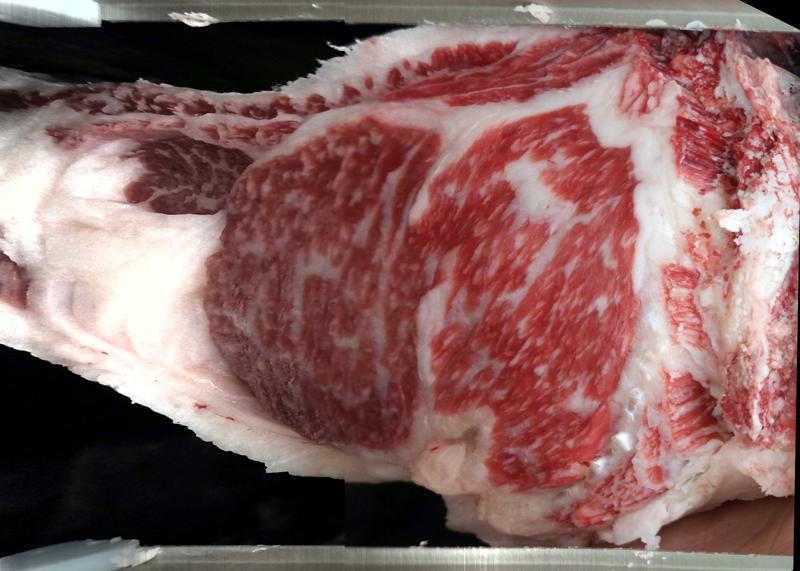 Carcase cross-section for MCKFR2900