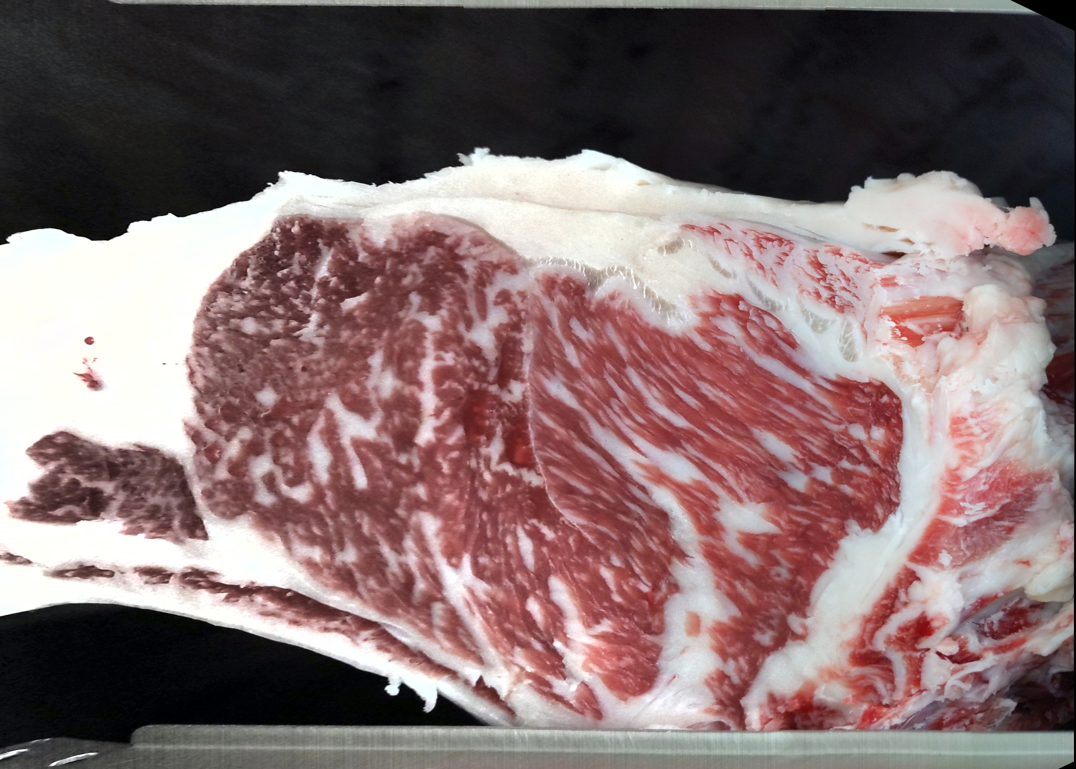 Carcase cross-section for MSMF22T0395