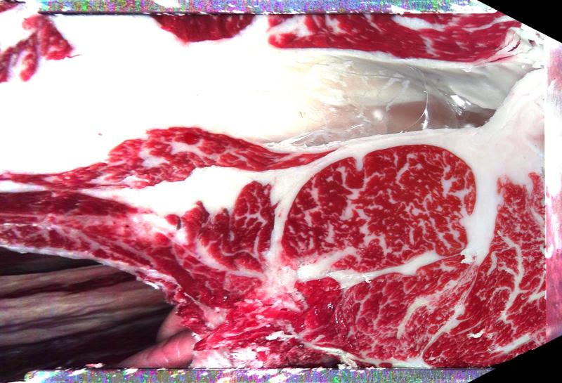 Carcase cross-section for MCKFP2223