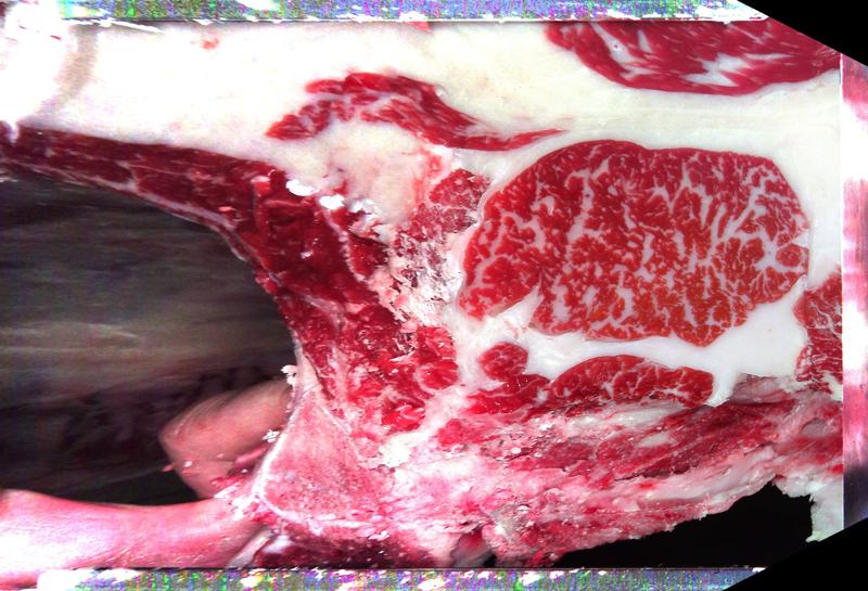 Carcase cross-section for MCKFP2190