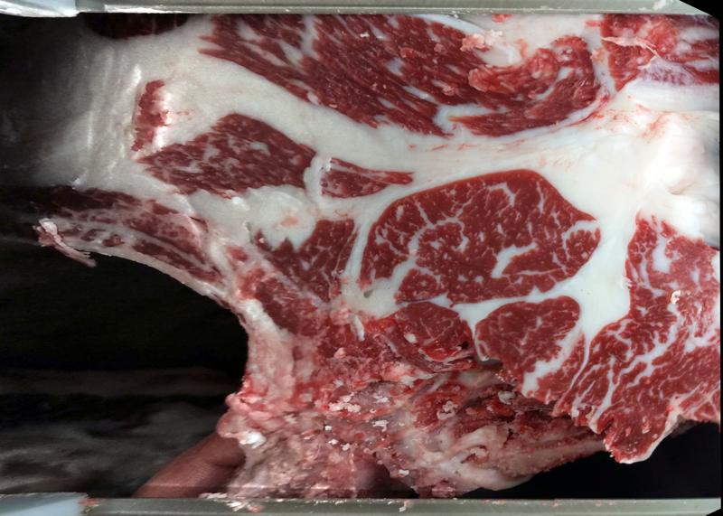 Carcase cross-section for MCKFQ2773
